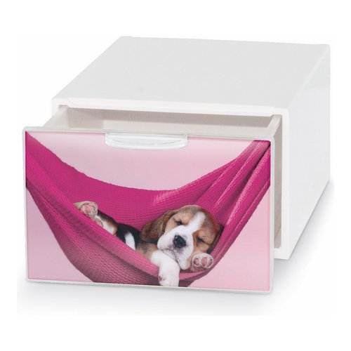 QBOX CASSETTO PICCOLO PETS              