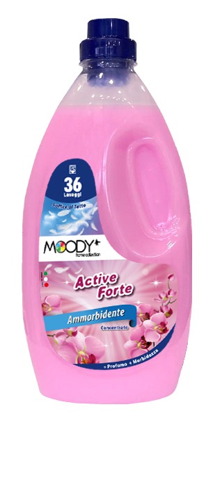 MOODY AMMORBIDENTE ACTIVE FORTE  2LT    