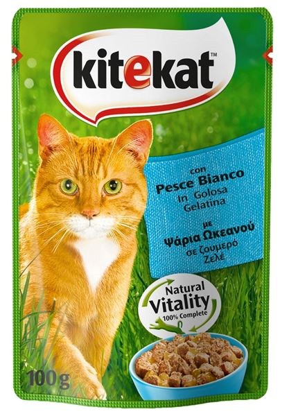 KITEKAT BOCCONCINI PESCE 100 GR         